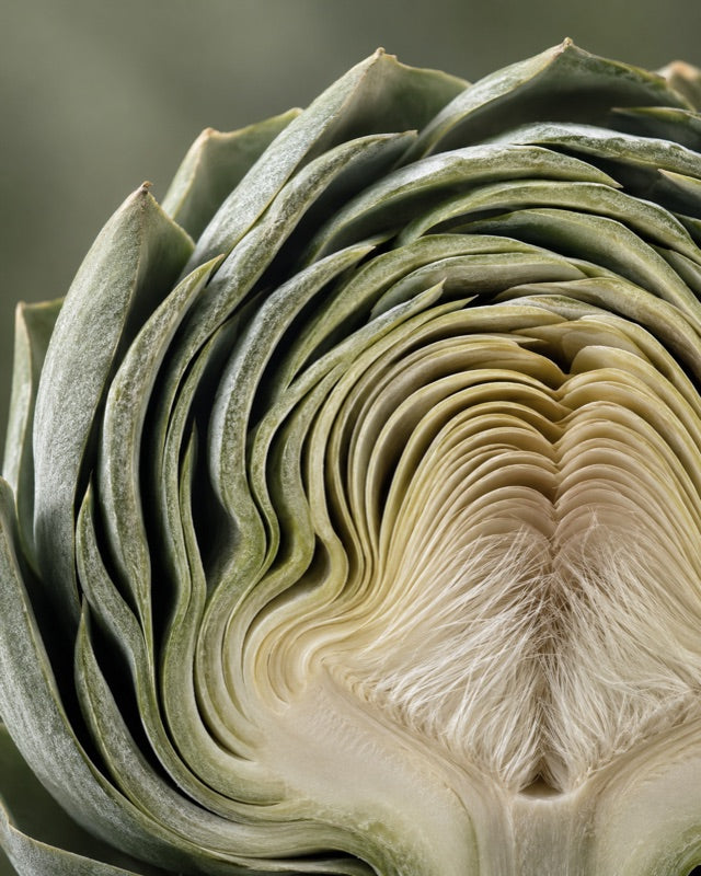 Artichoke