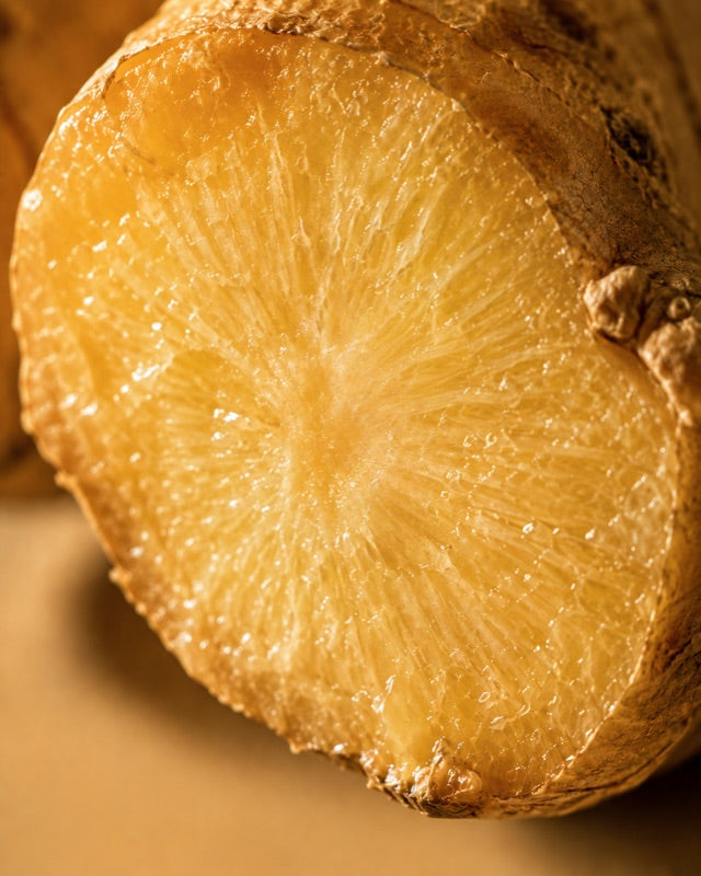 Ginger